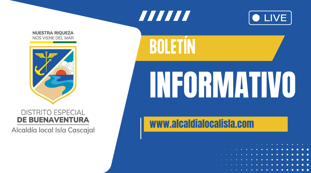 Boletín 2